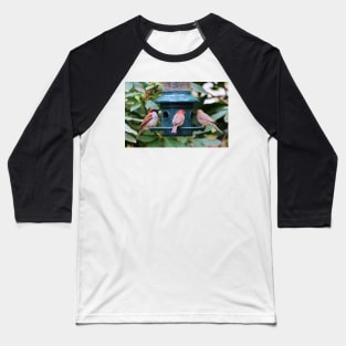 Three Bird Friends Baseball T-Shirt